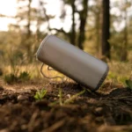 Sony SRS-XE200 X-Series Wireless Ultra