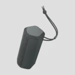 Sony SRS-XE200 X-Series Wireless Ultra