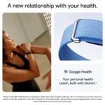 Google Fitbit Air